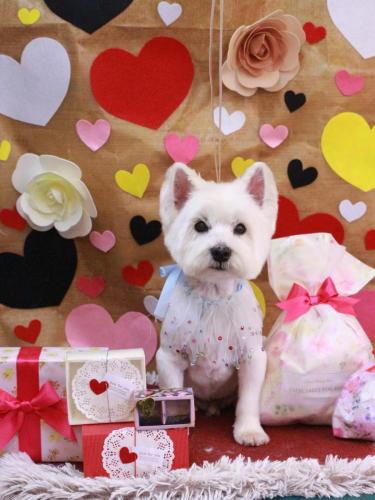 20230207レオンくん